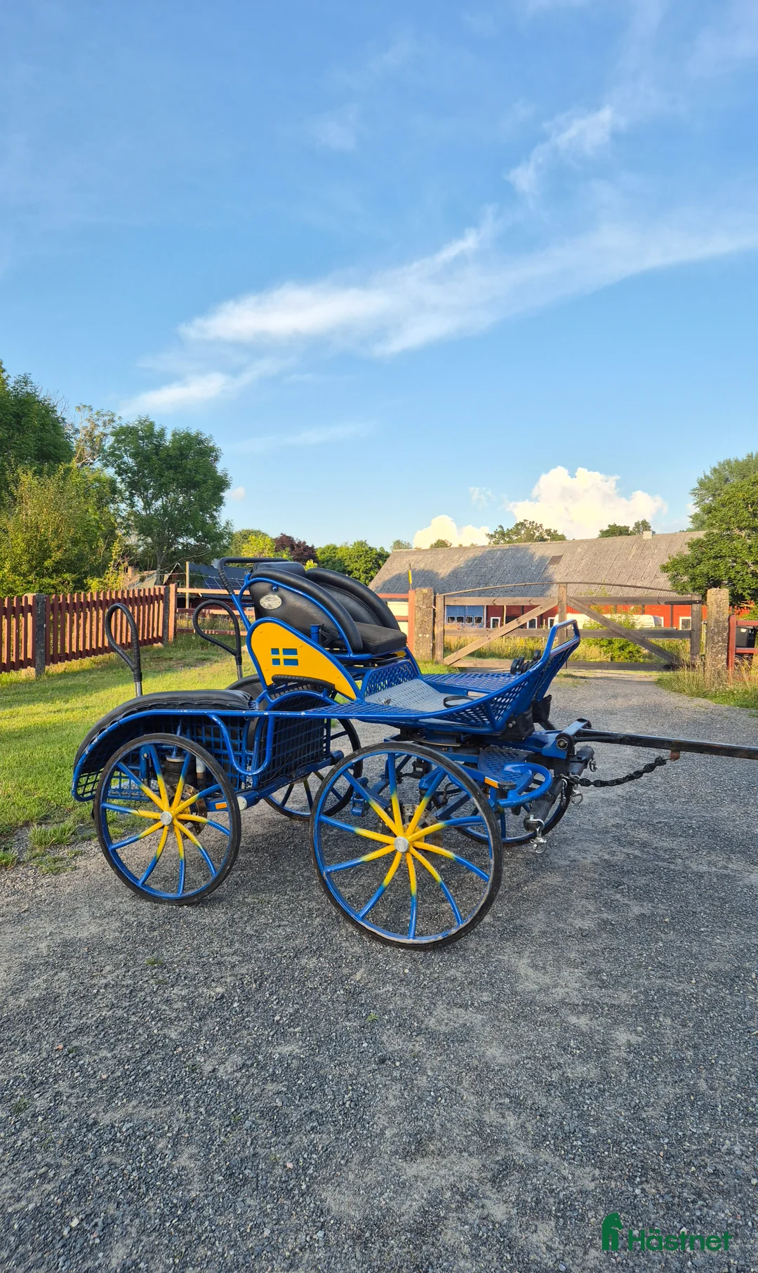 Körvagnar körning till salu: Glinkowski parvagn - Annons 1