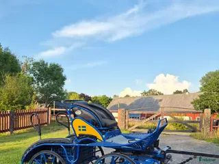 Körvagnar körning till salu: Glinkowski parvagn - Annons 2