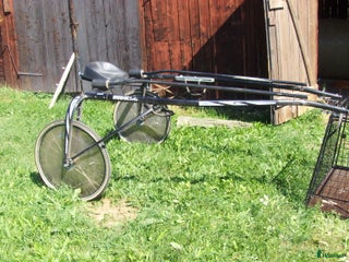 Körsulkys körning till salu: Sulky i Katrineholm - Annons 13