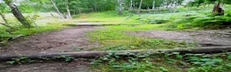  stallplats finnes: Lösdrift-valackflock - Annons 4