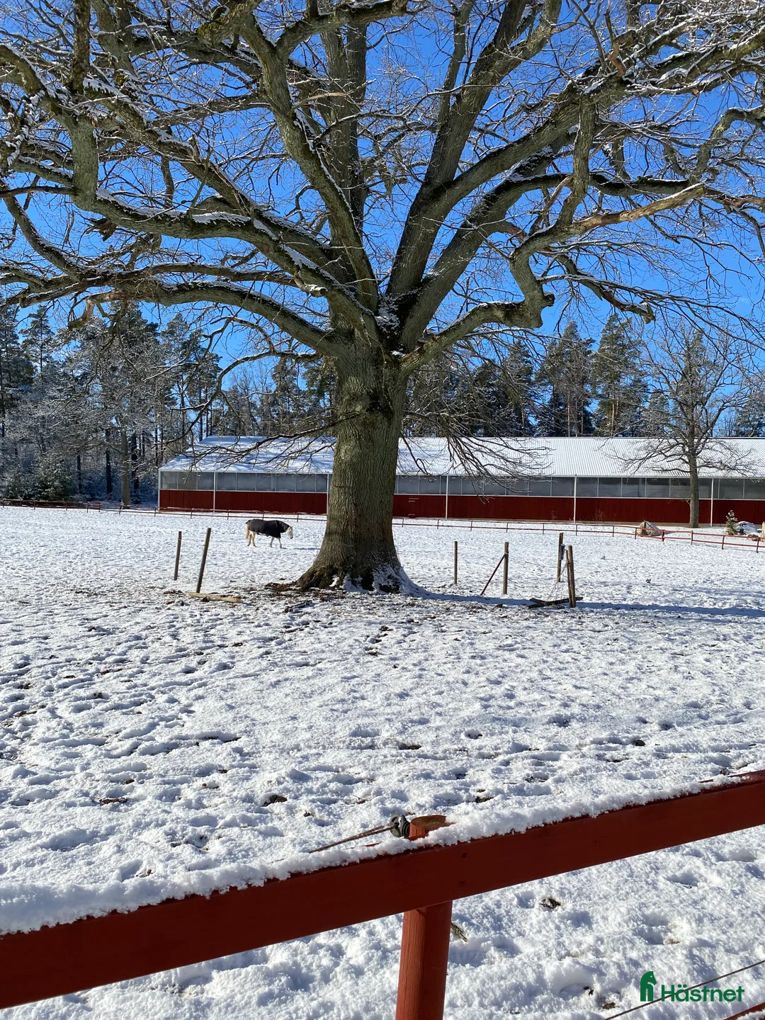  lägenhet till salu: Boende på liten hästgård Norra Stäket Stockholm - Annons 7