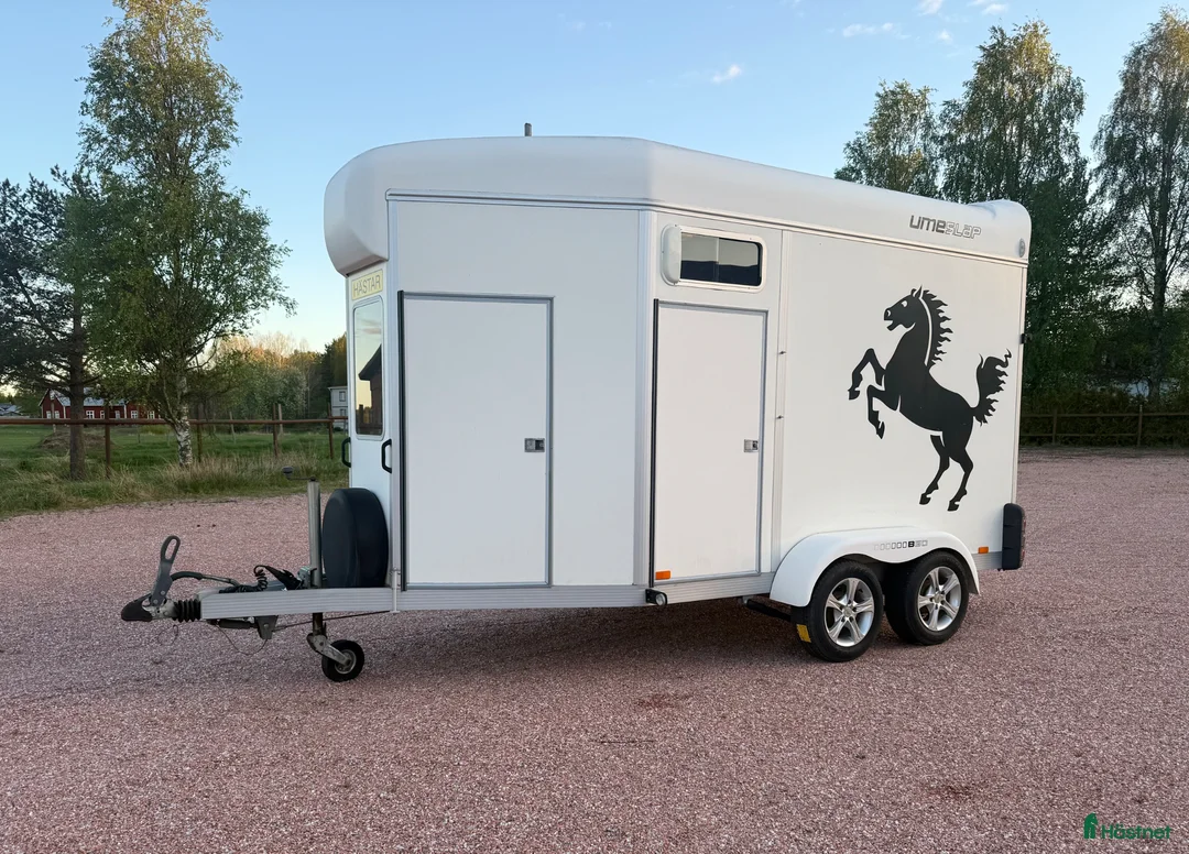 Hästtransporter  fordon & transport till salu: Umesläp BB60 i Råneå - Annons 2