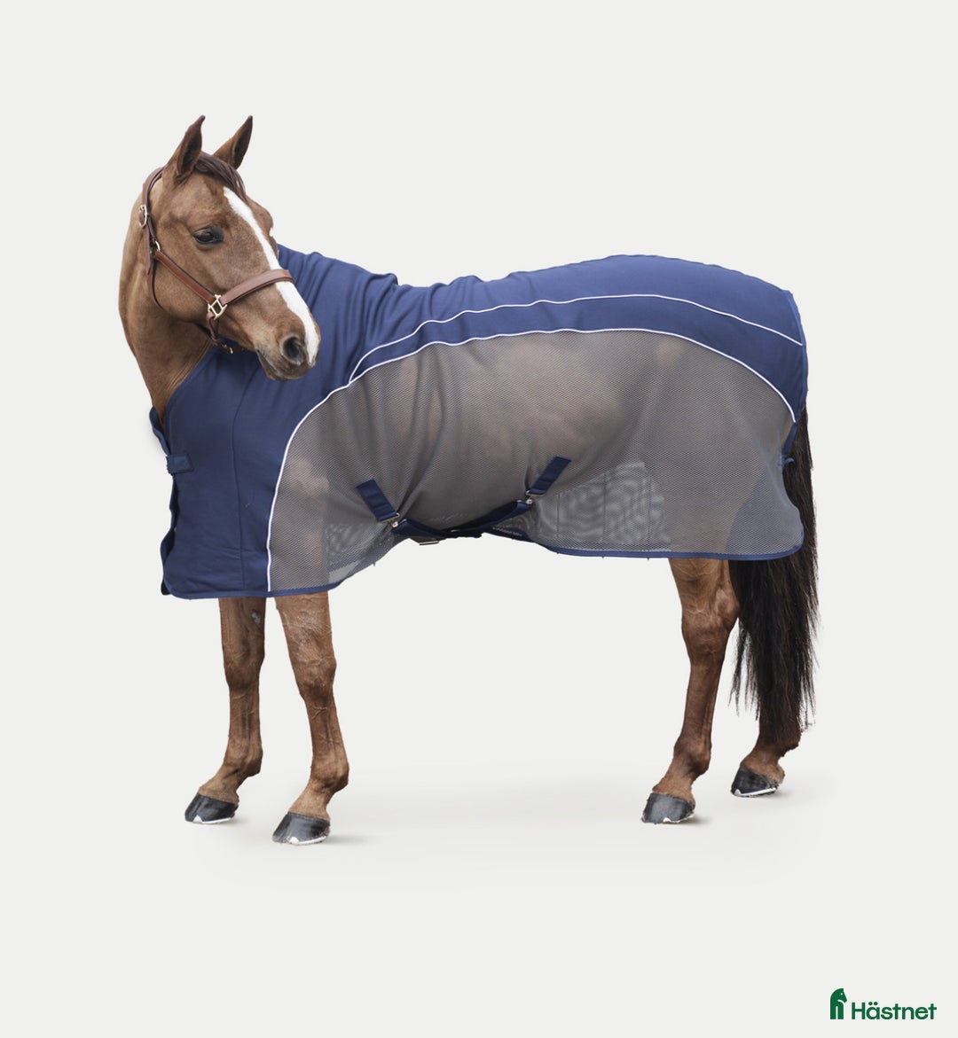 Täcken hästutrustning till salu: Amiko Coolertäcke i Allerum - Annons 1