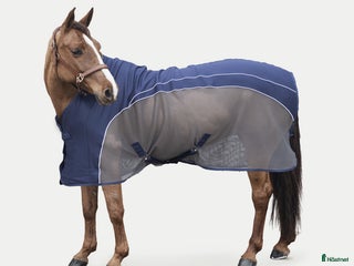 Täcken hästutrustning till salu: Amiko Coolertäcke i Allerum - Annons 1