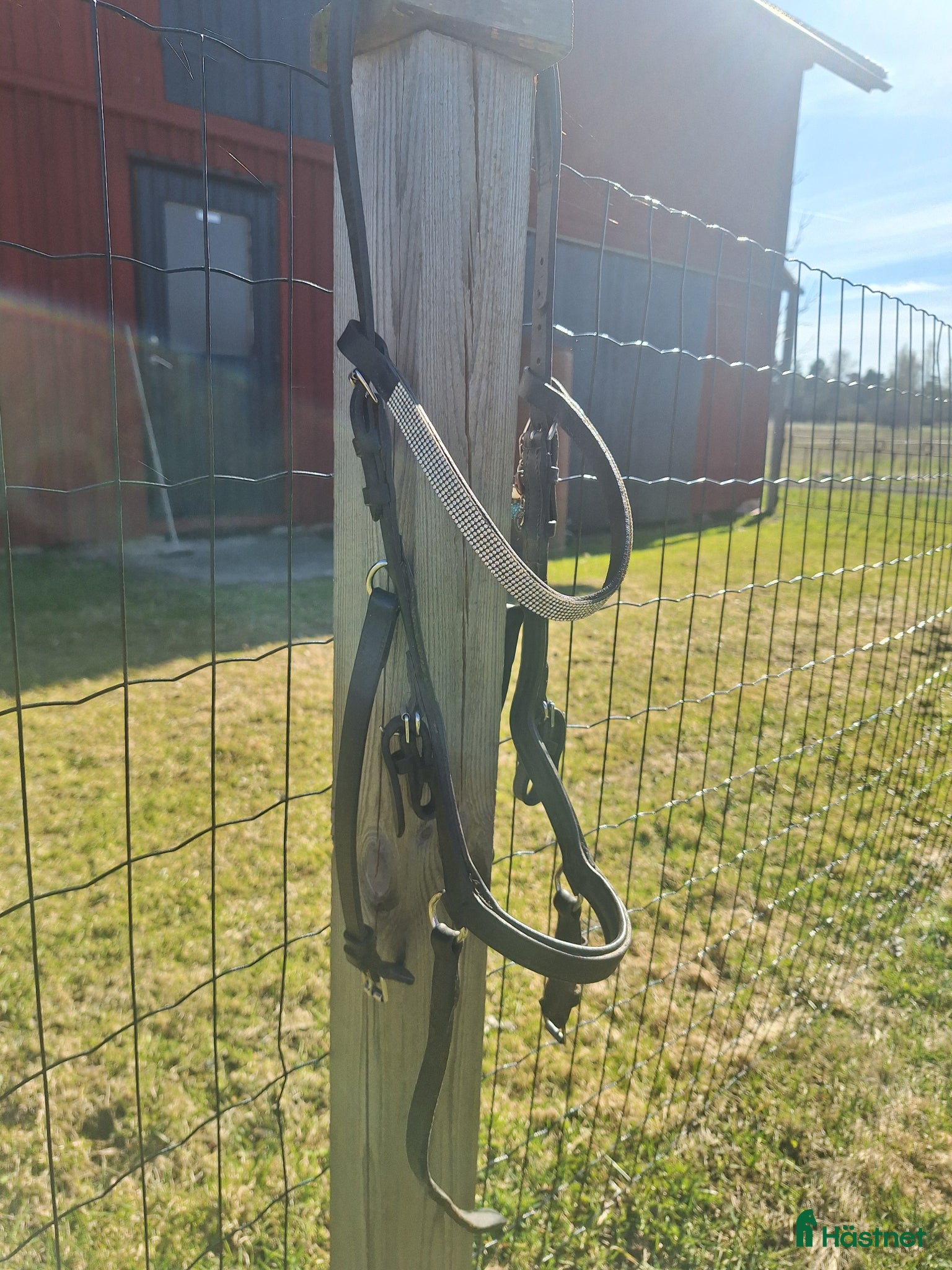 Träns hästutrustning Micklem  - Annons 1