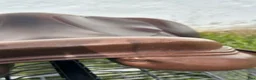 Sadlar hästutrustning till salu: ErgoX2 Courage 17" Extra Wide–Ergonomisk hoppsadel - Annons 8