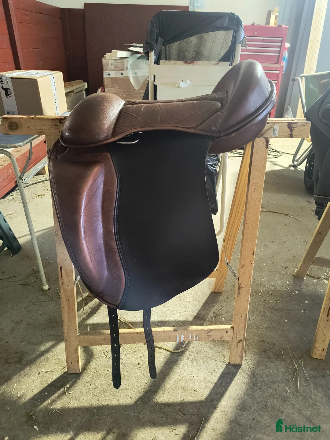 Sadlar hästutrustning till salu: Bomlös Eques sadel  - Annons 1