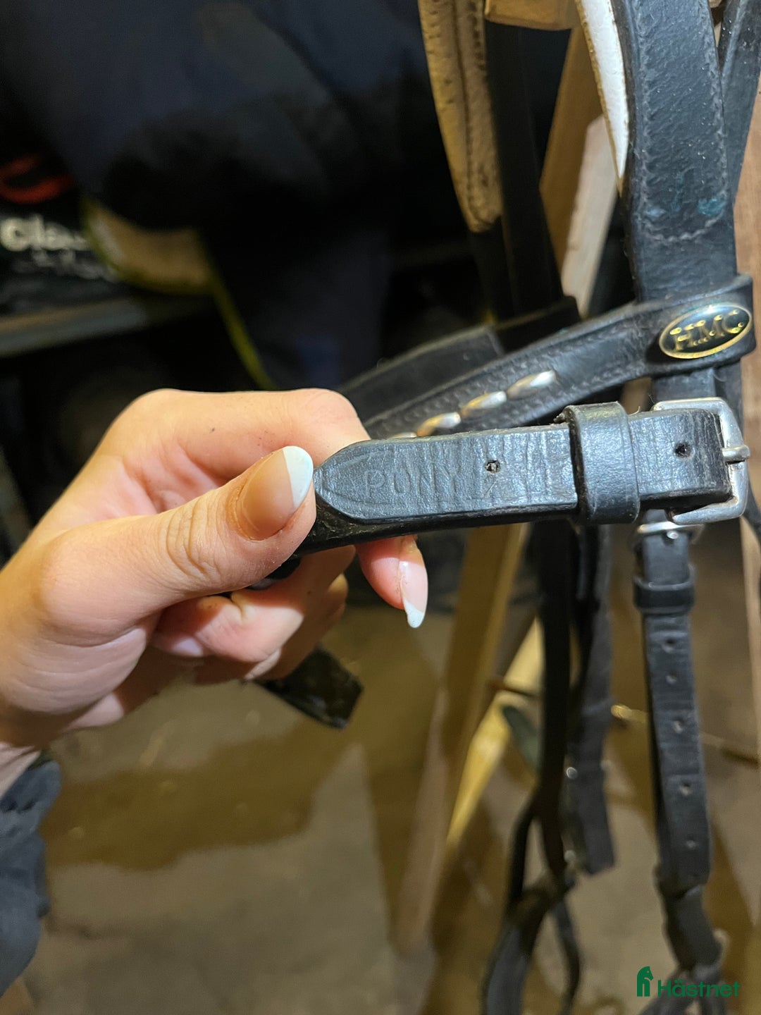 Träns hästutrustning till salu: Träns  i Norrköping - Annons 3