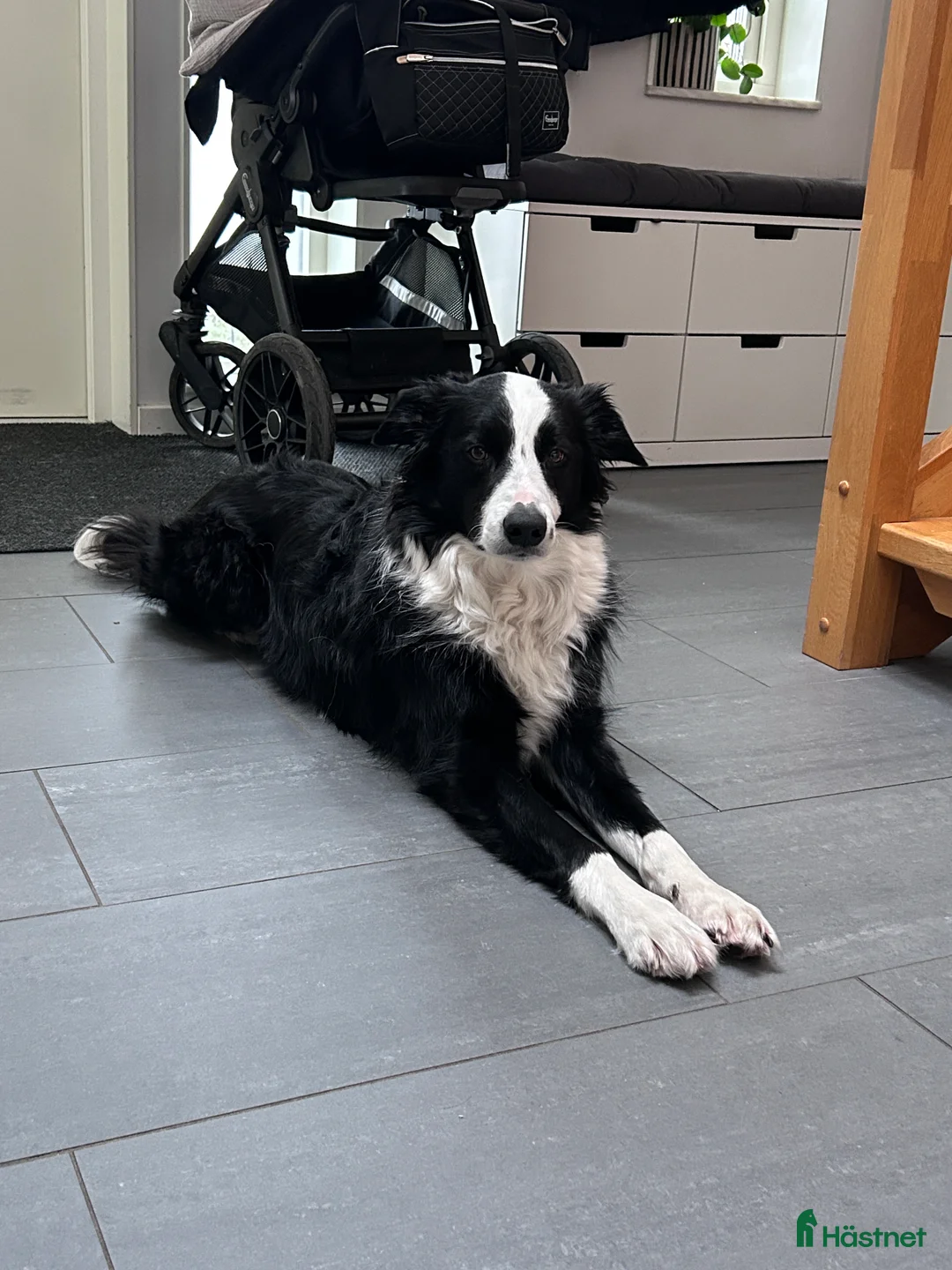 Galleribild {{count}}