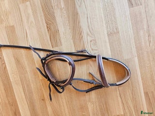 Träns hästutrustning till salu: Olika träns COB i Karlsborg - Annons 23