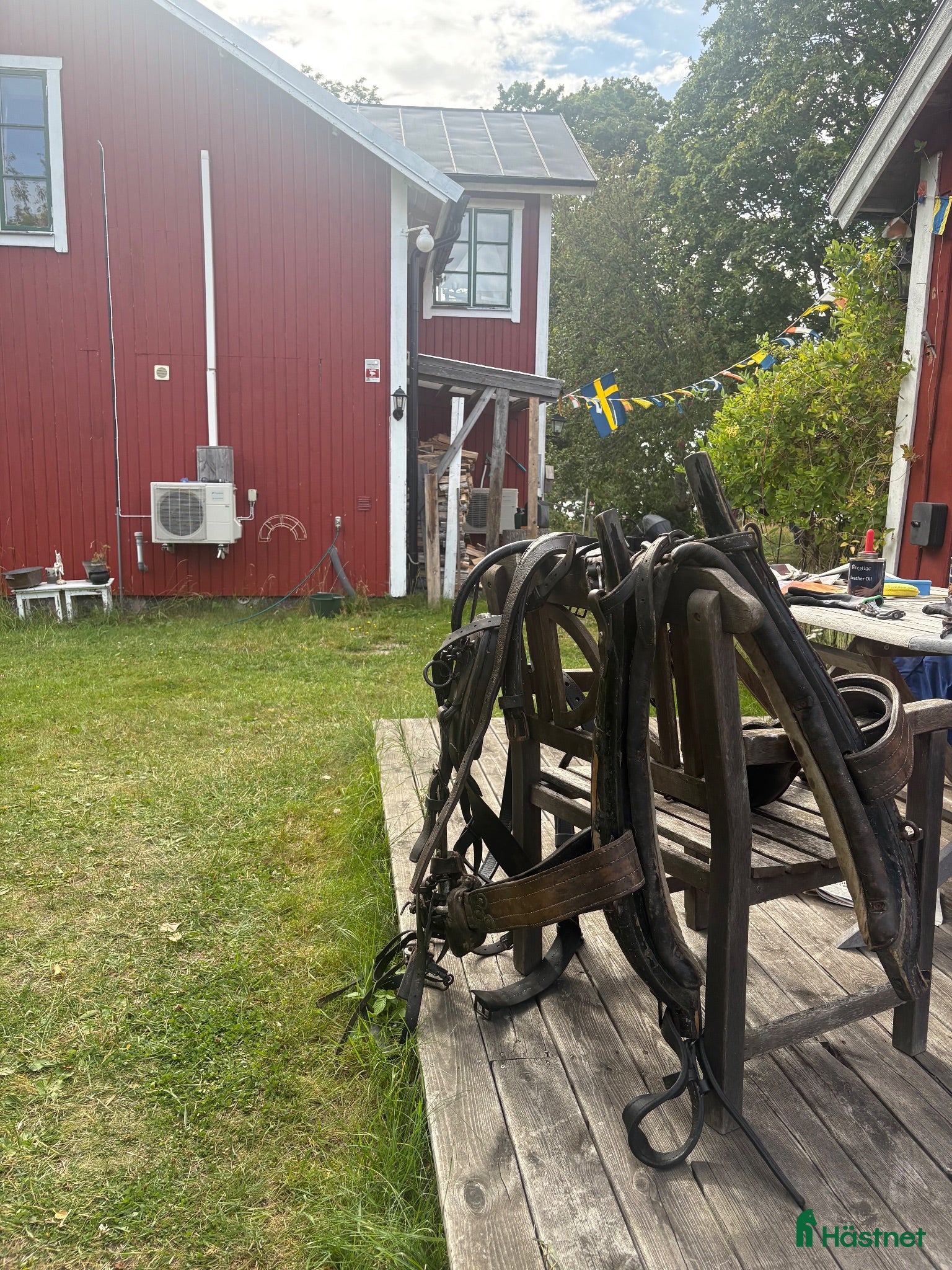 Körselar körning till salu: Loksele - Annons 2