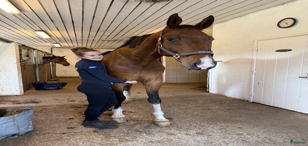 Galleribild {{count}}