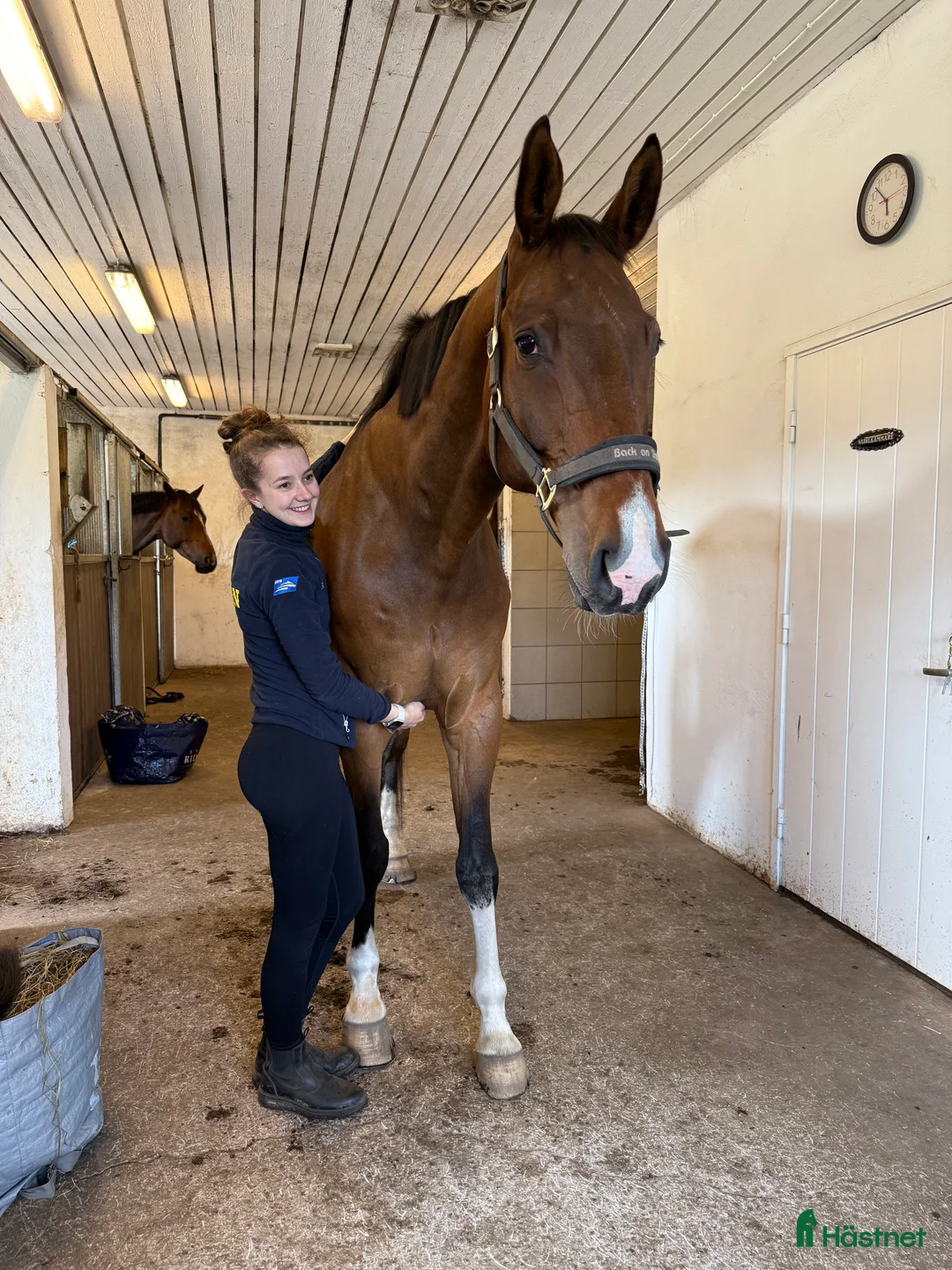 Galleribild {{count}}