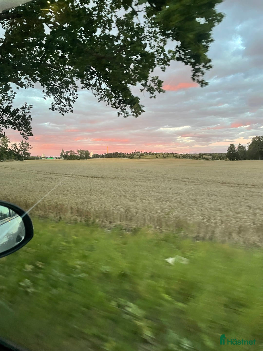 Sadlar hästutrustning till salu: Söker hoppsadel i Oxelösund - Annons 1