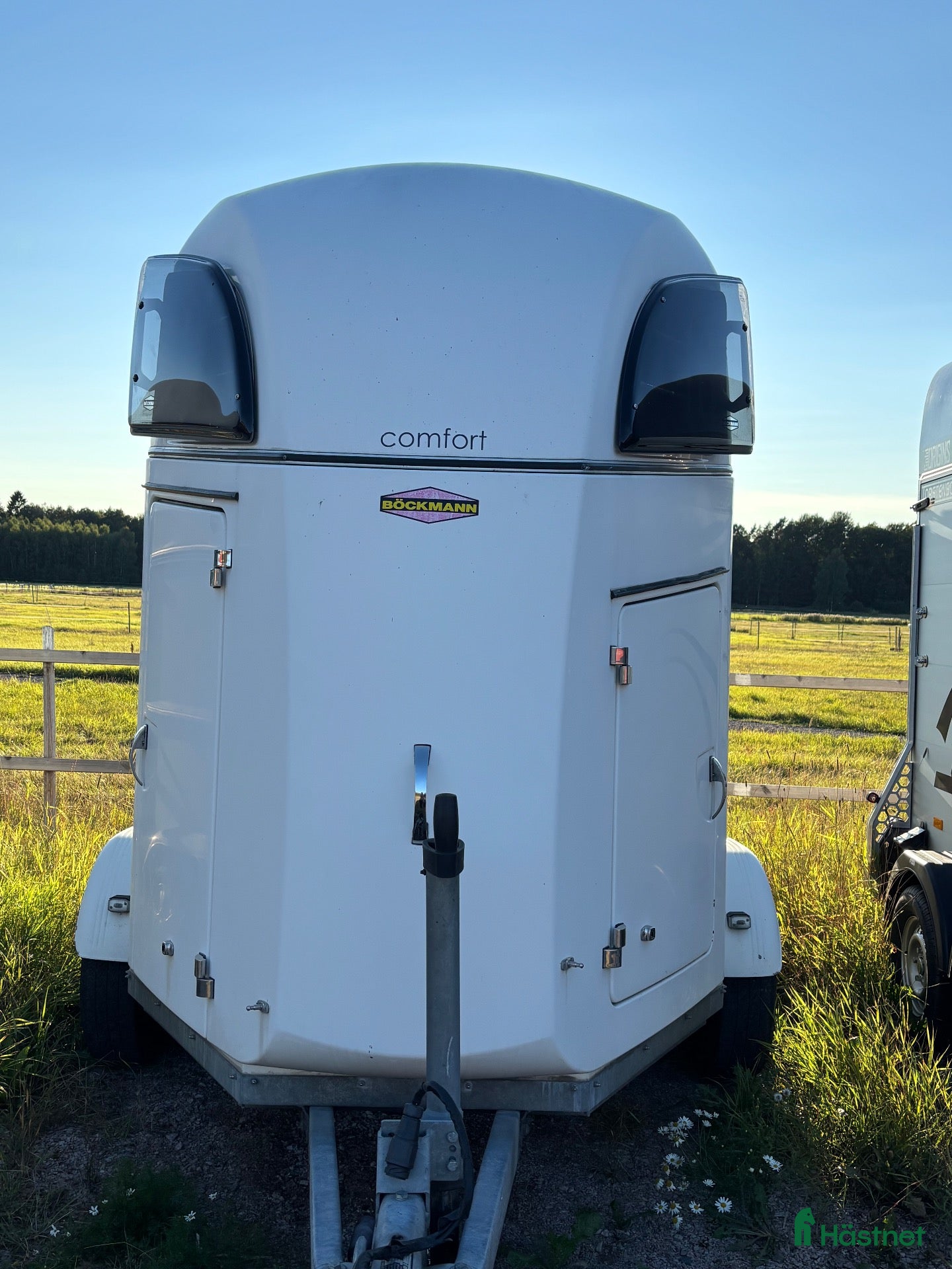Hästtransporter  fordon & transport till salu: Böckmann med aluminiumgolv - Annons 1