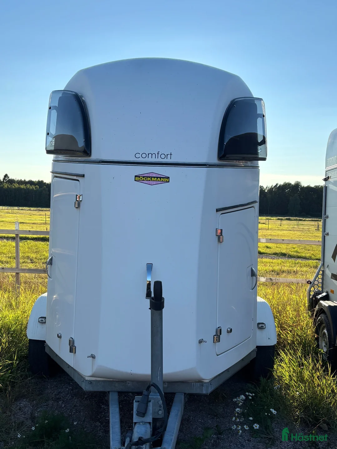Hästtransporter  fordon & transport till salu: Böckmann med aluminiumgolv - Annons 1