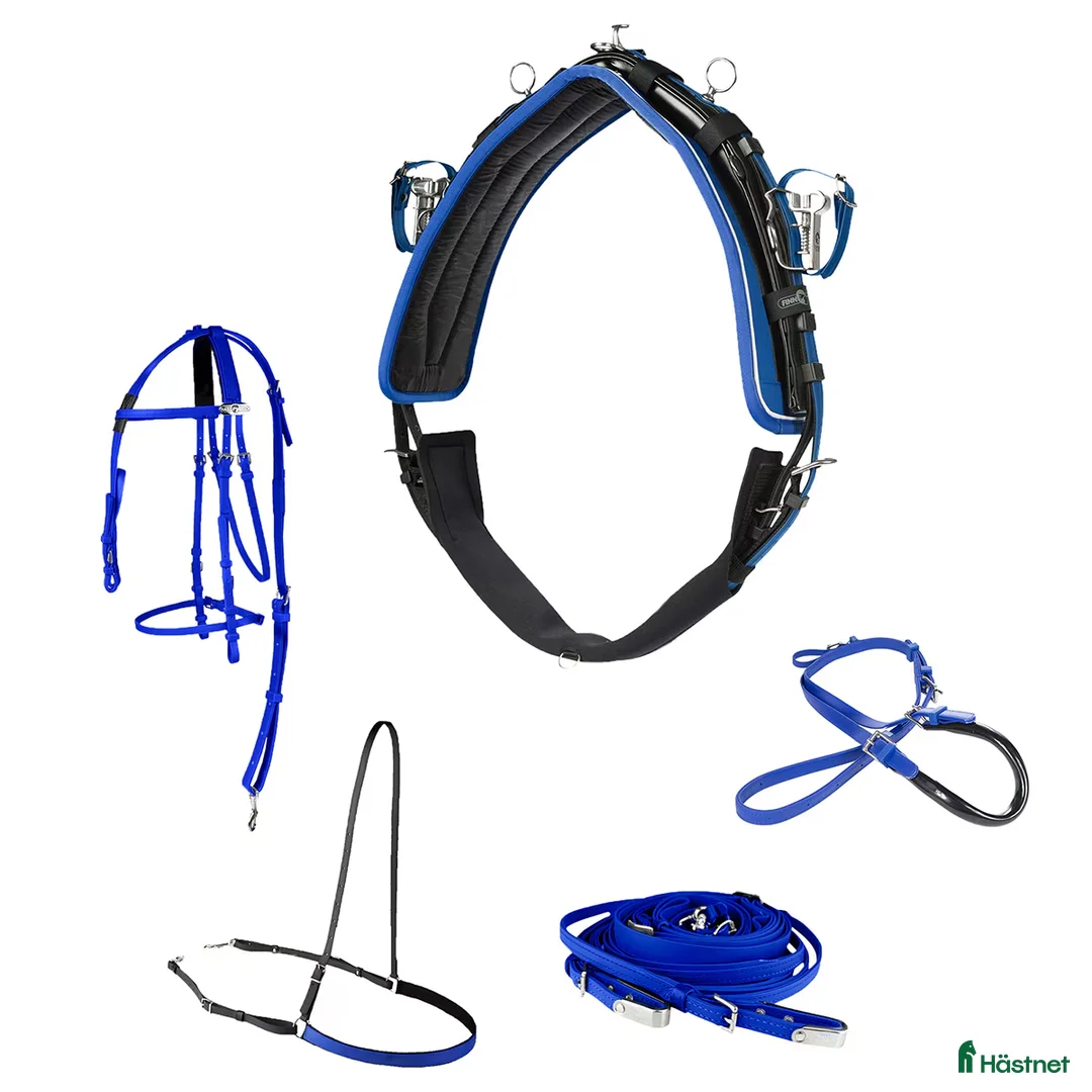 Travselar trav till salu: Tävlingsselar - Annons 2