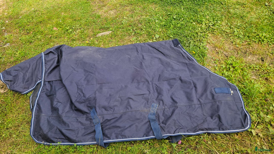 Täcken hästutrustning till salu: Täcken i Älvsbyn - Annons 5
