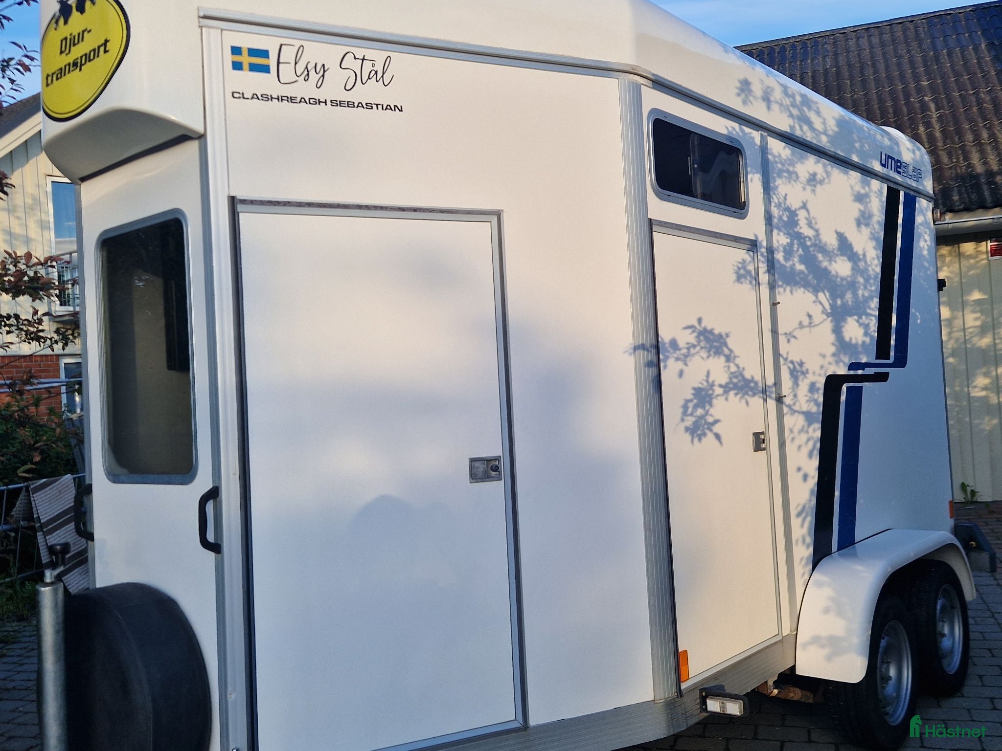 Hästtransporter  fordon & transport till salu: Fräsch Umesläp B60 - Annons 11
