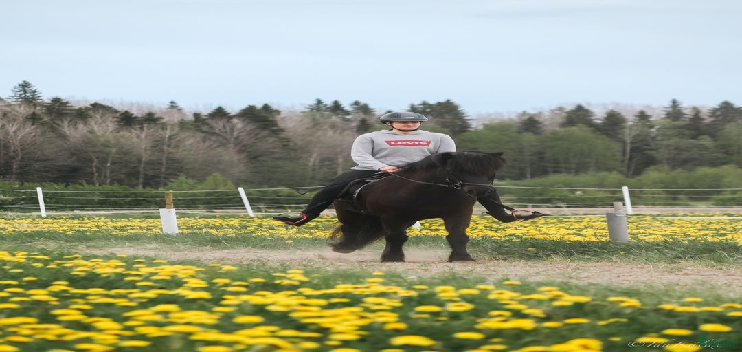 Galleribild {{count}}