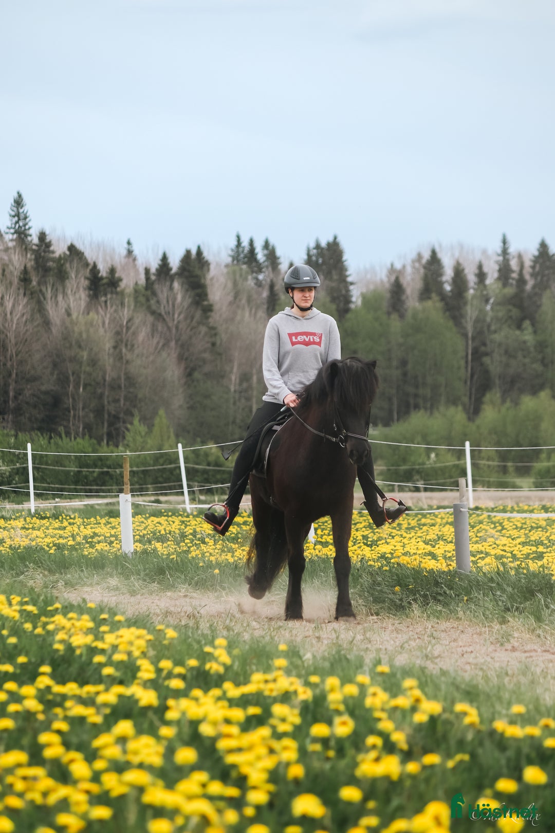 Galleribild {{count}}