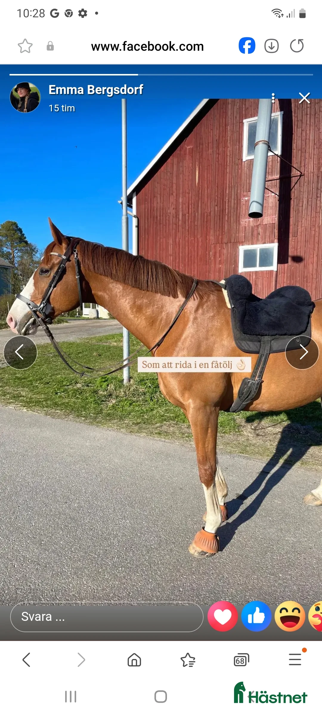 Sadlar hästutrustning till salu: Horsedream i Umeå - Annons 1