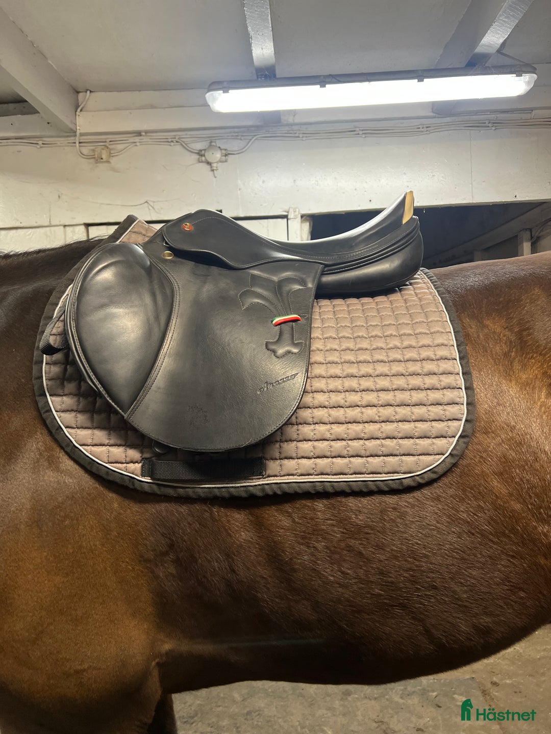 Sadlar hästutrustning till salu: Prestige Arezzo i Nossebro - Annons 4