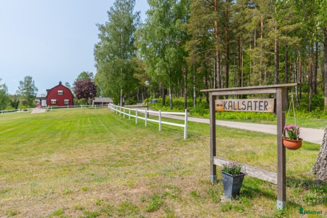  hästgårdar till salu: Välkommen till Källsätter! i Nyköping - Annons 5