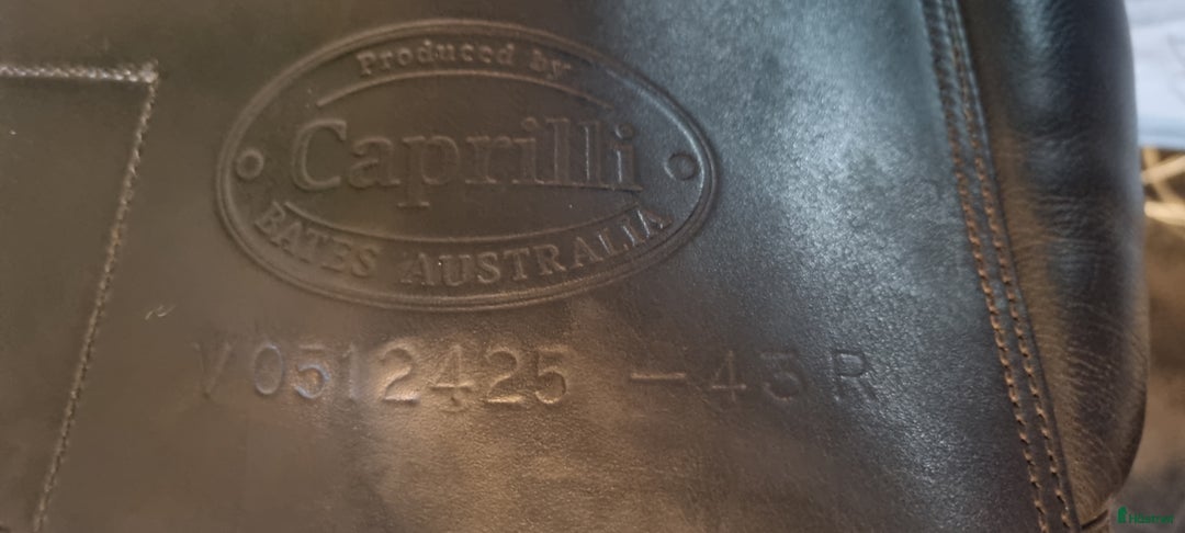 Sadlar hästutrustning till salu: Bates caprilli dressyrsadel 17" i Ljungbyhed - Annons 4