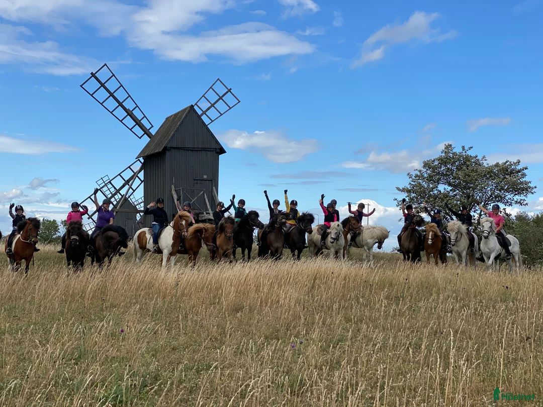  hästjobb finnes: Turridningsguide & Ridlägerledare i Mörbylånga - Annons 9