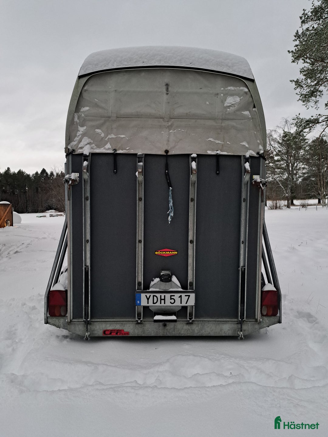Hästtransporter  fordon & transport till salu: Böckmann  i Nordmaling - Annons 5