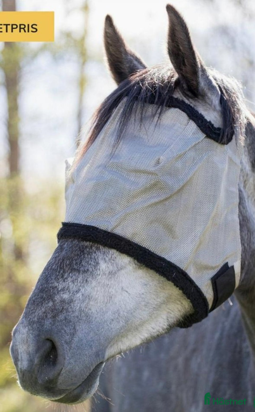 Övrig Hästutrustning hästutrustning till salu: Flughuvor olika modeller i Kristianstad - Annons 3