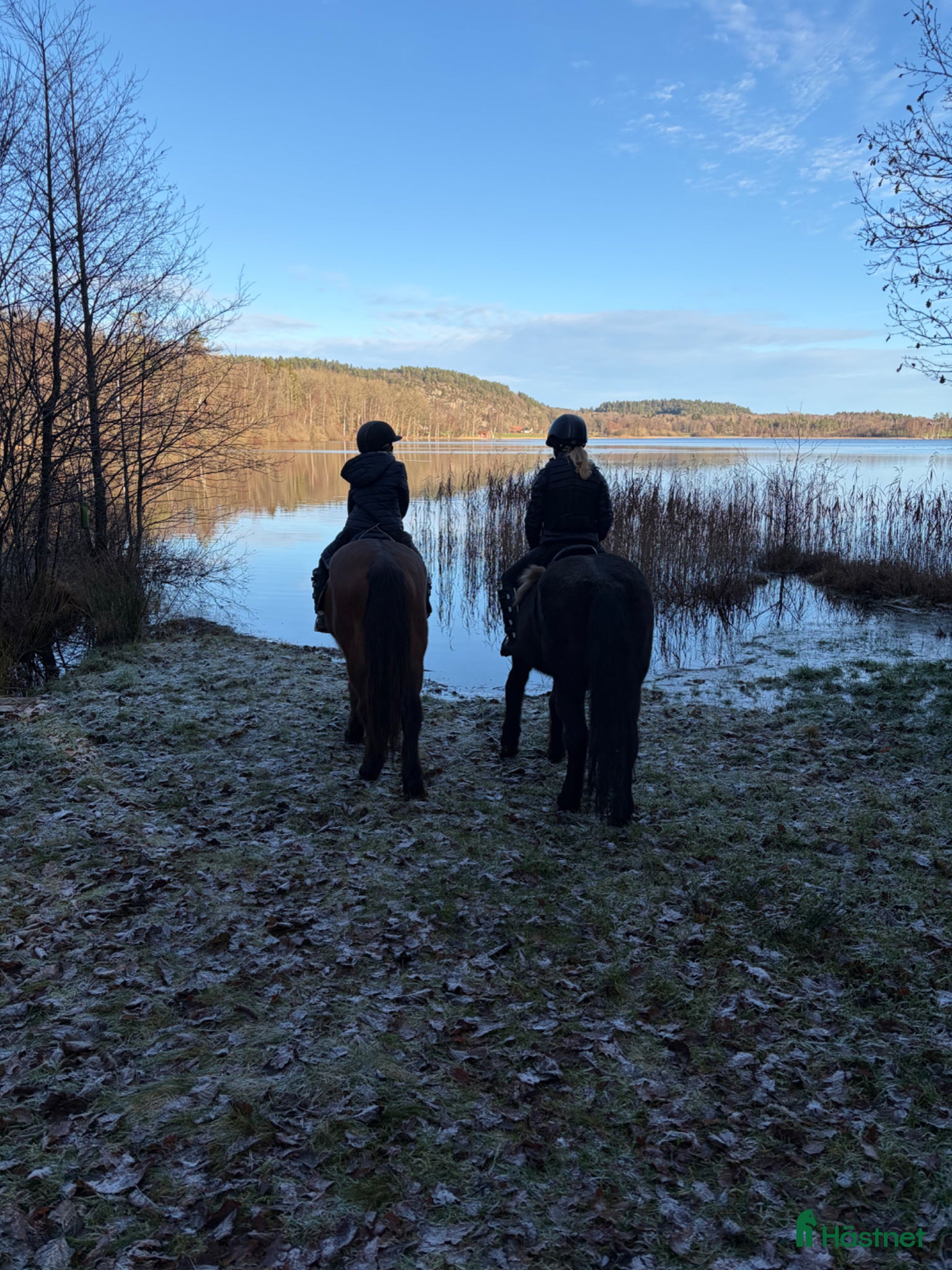  hästar AKUT🐴 - Annons 10