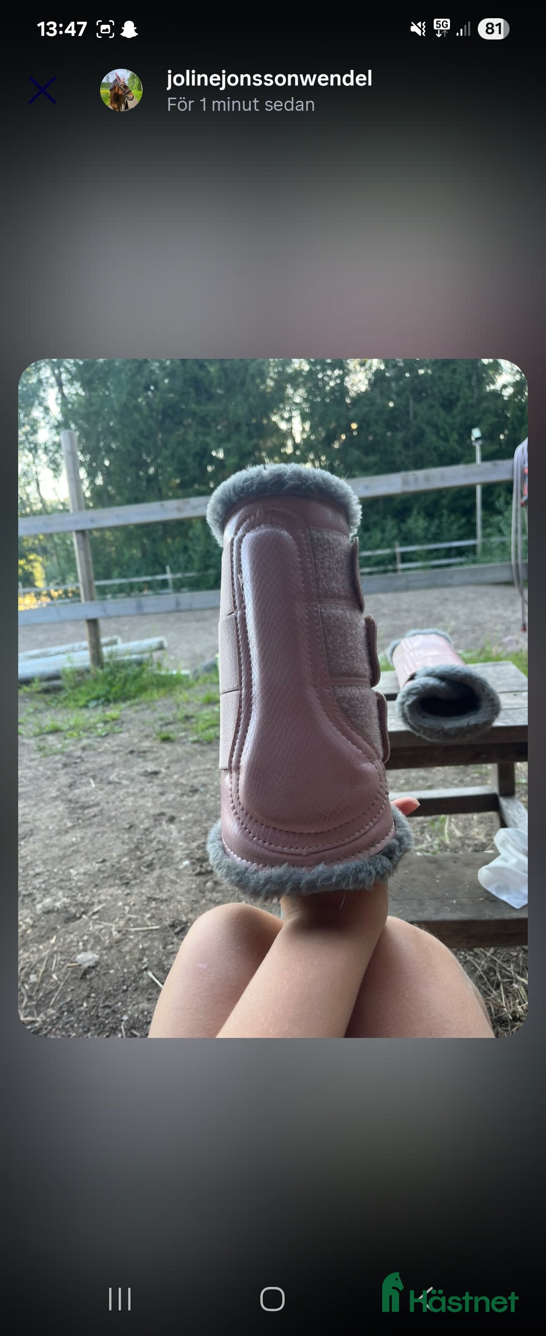 Benskydd hästutrustning till salu: Set från ES (equestrian stockholm) i Sunne - Annons 3