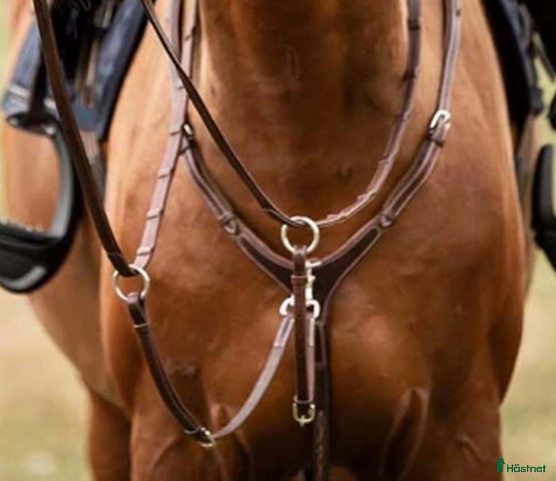 Sadeltillbehör hästutrustning till salu: Martingal m förbygel i Landskrona - Annons 5
