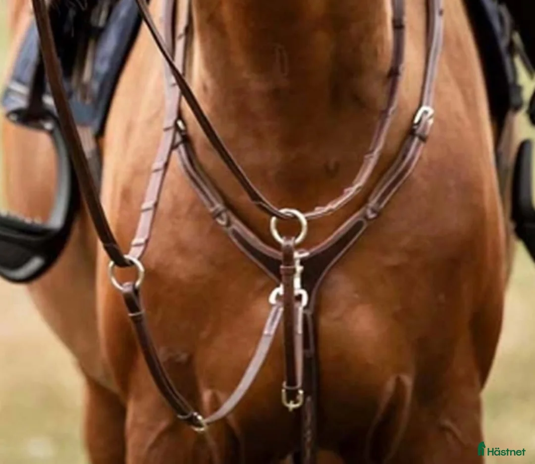 Sadeltillbehör hästutrustning till salu: Martingal m förbygel i Landskrona - Annons 1