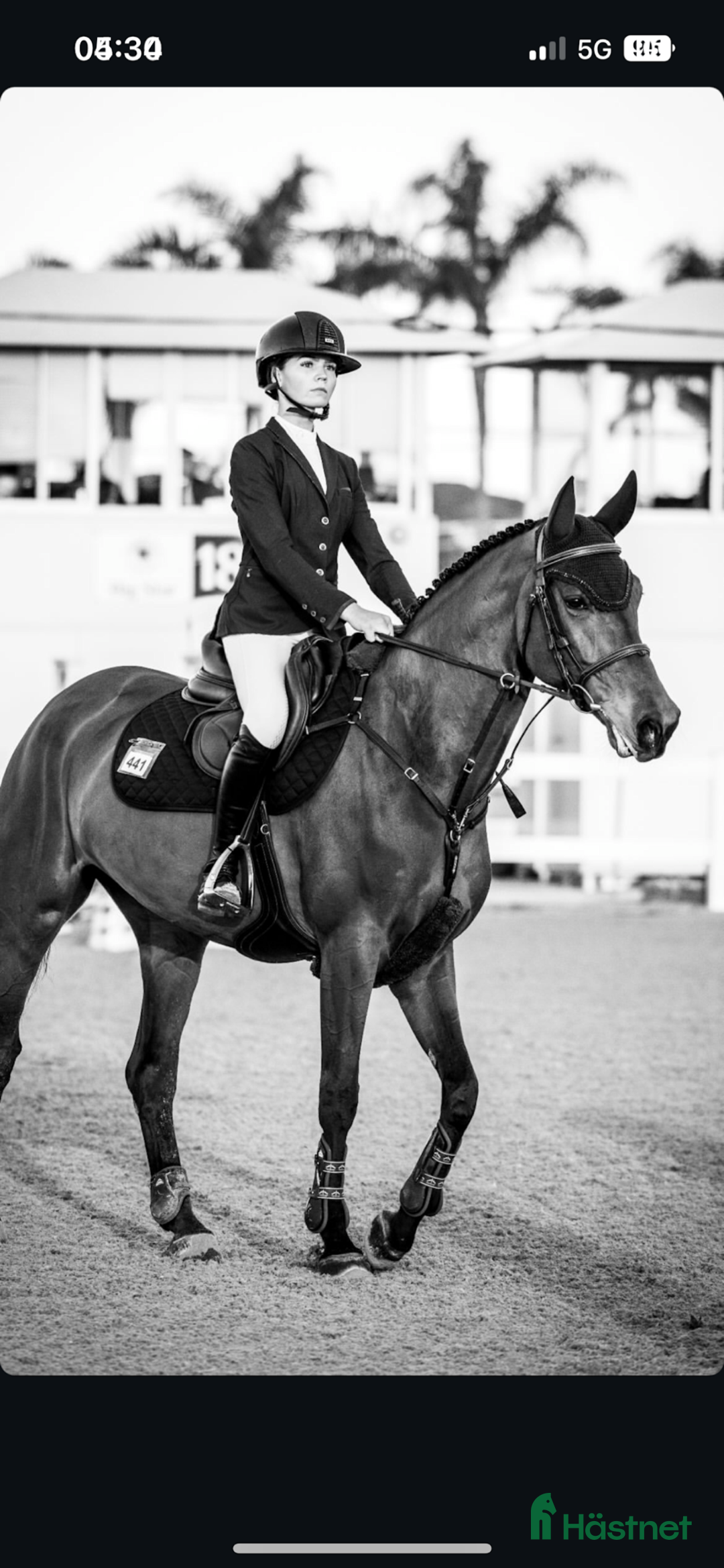 Hoppning hästar till salu: Fantastiskt sto med kämparglöd och kvalitet! i Villshärad - Annons 4