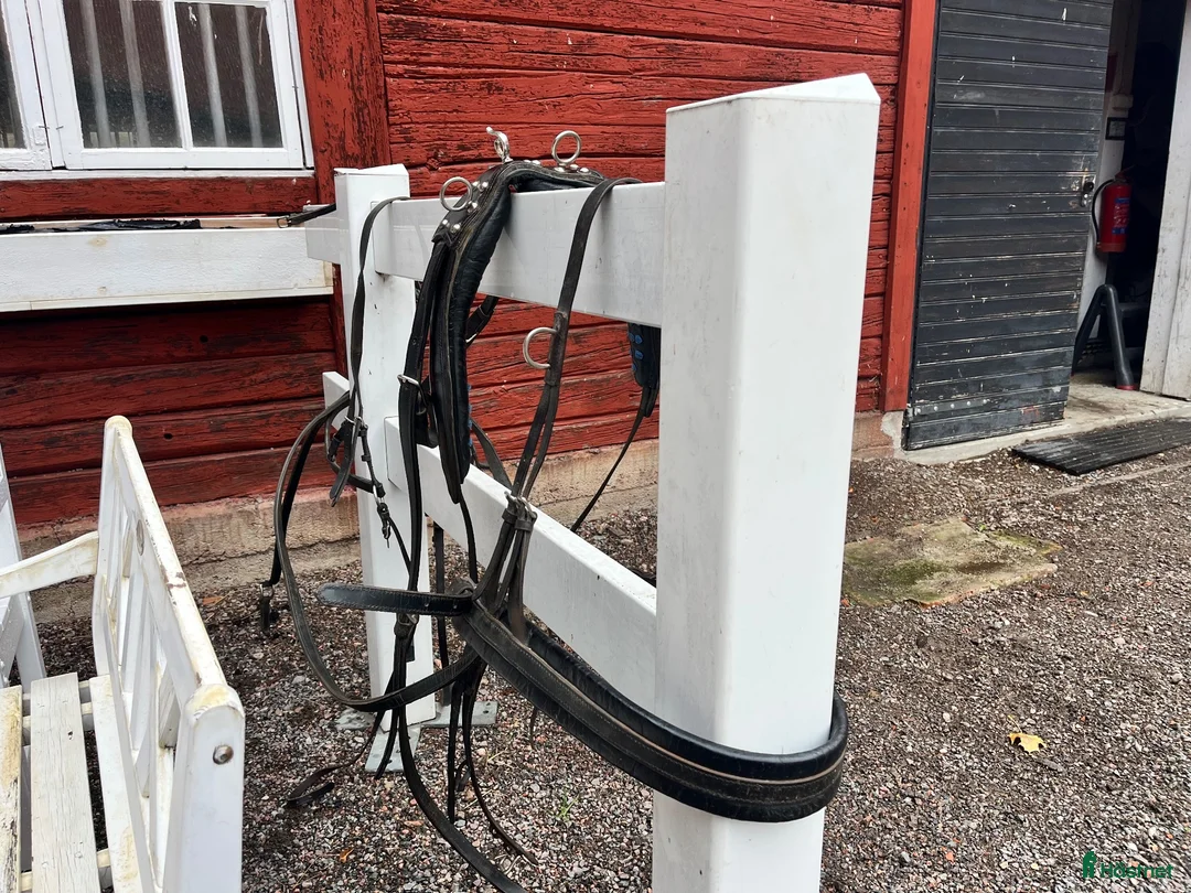 Körselar körning till salu: Paket med körselar - Annons 1