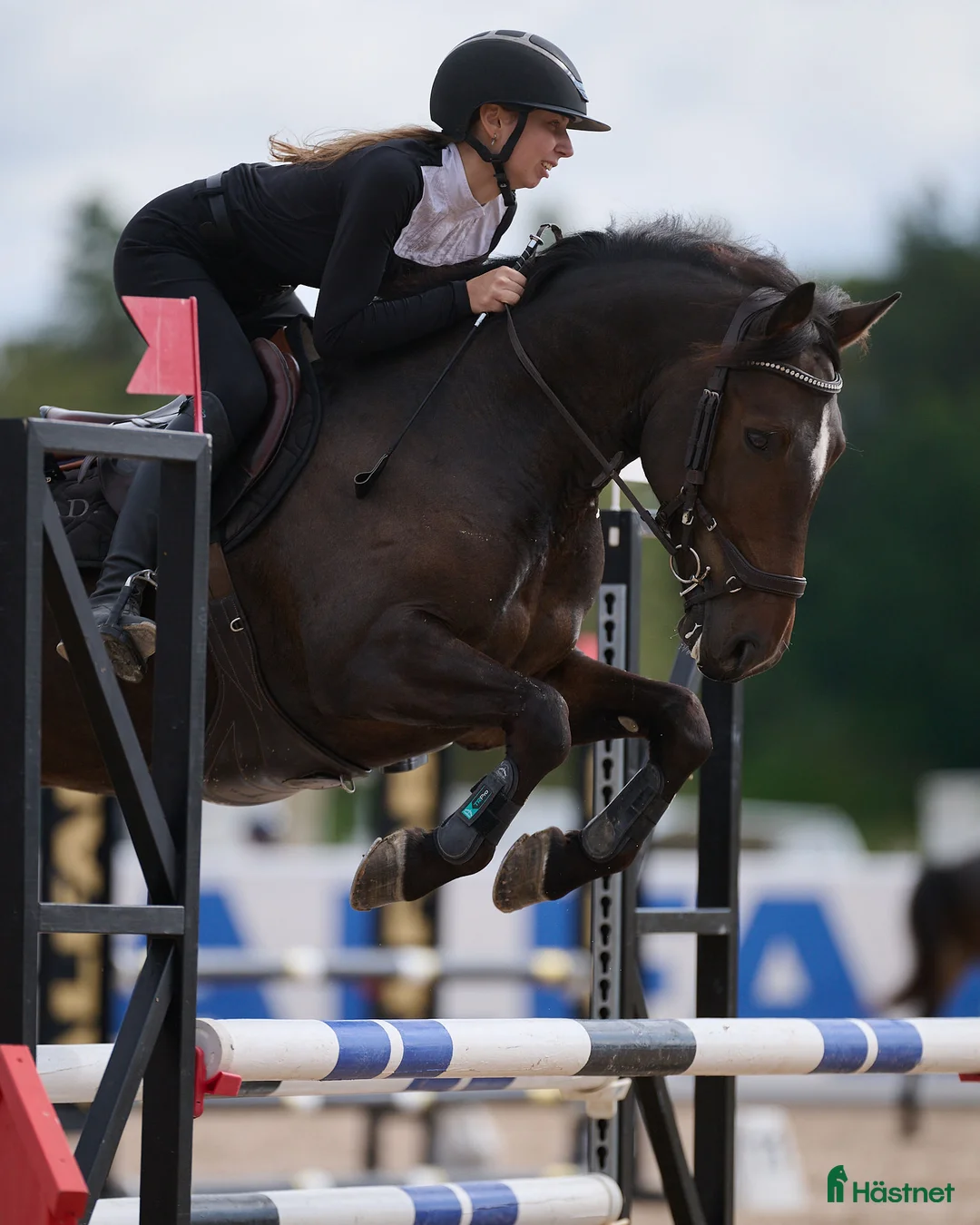 Hoppning hästar till salu: Talangfull maxad C-ponny med kapacitet för toppen - Annons 3