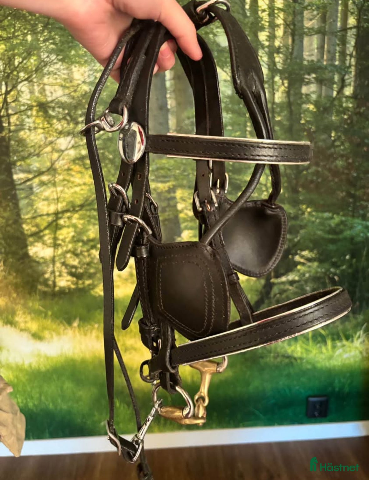 Träns hästutrustning till salu: Körträns använt på miniatyrhäst+ bett i Hedekas - Annons 9