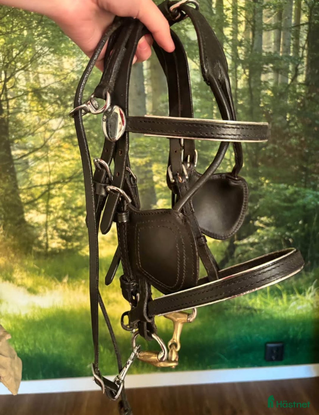 Träns hästutrustning till salu: Körträns använt på miniatyrhäst+ bett i Hedekas - Annons 1