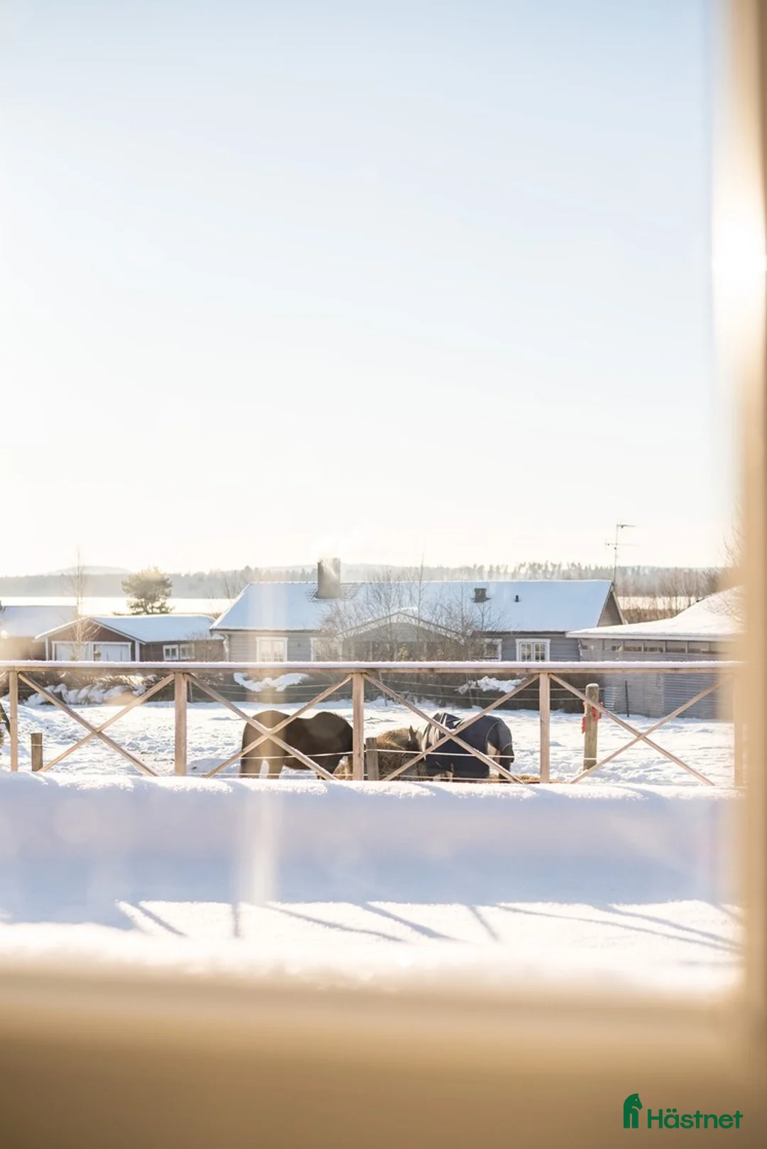  hästgårdar till salu: Hästgård med extra allt  i Dala-husby - Annons 2