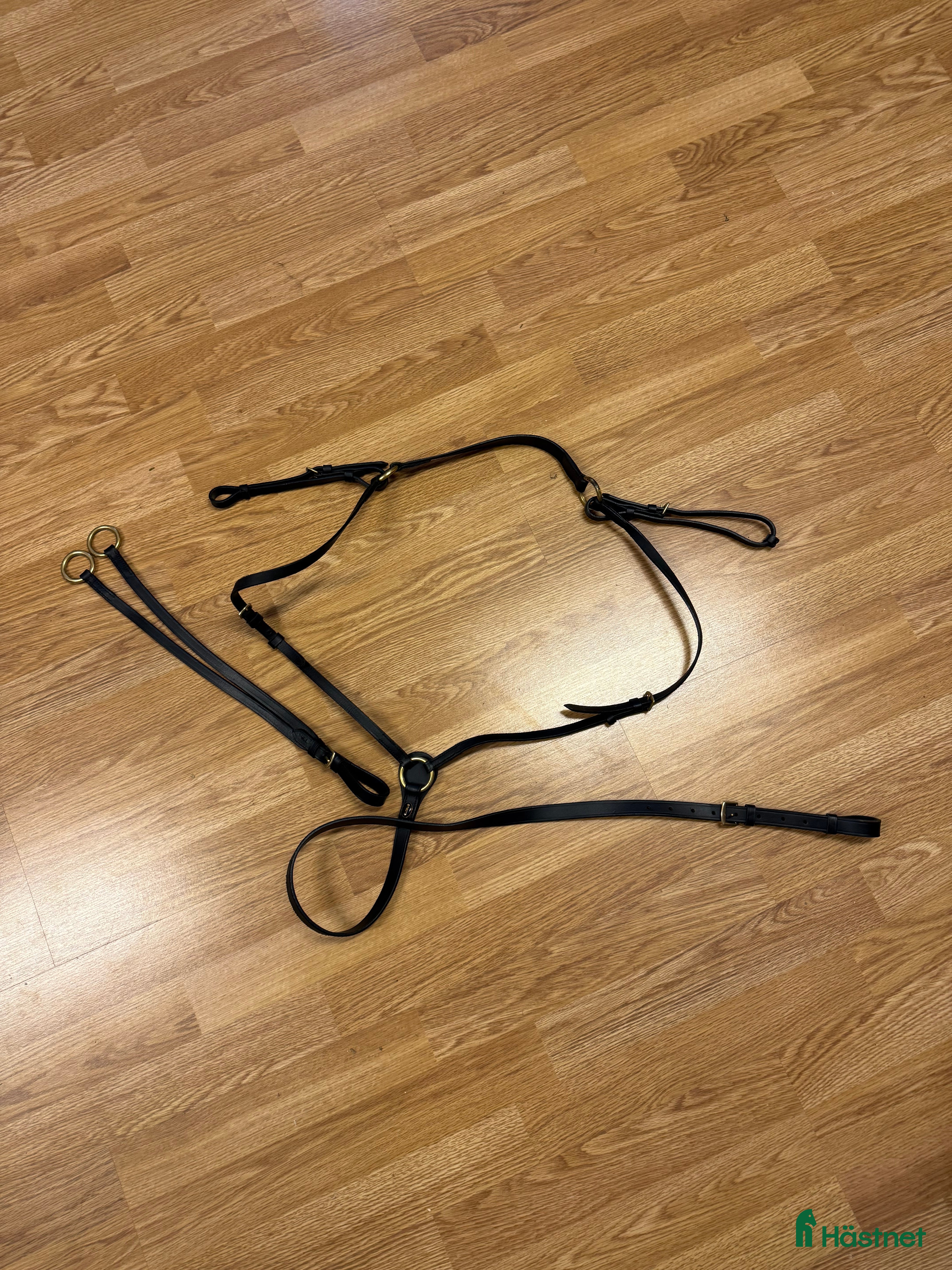 Övrig Hästutrustning hästutrustning till salu: Förbygel med martingal i Vendelsö - Annons 20