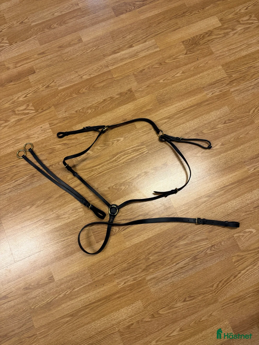 Övrig Hästutrustning hästutrustning till salu: Förbygel med martingal i Vendelsö - Annons 1