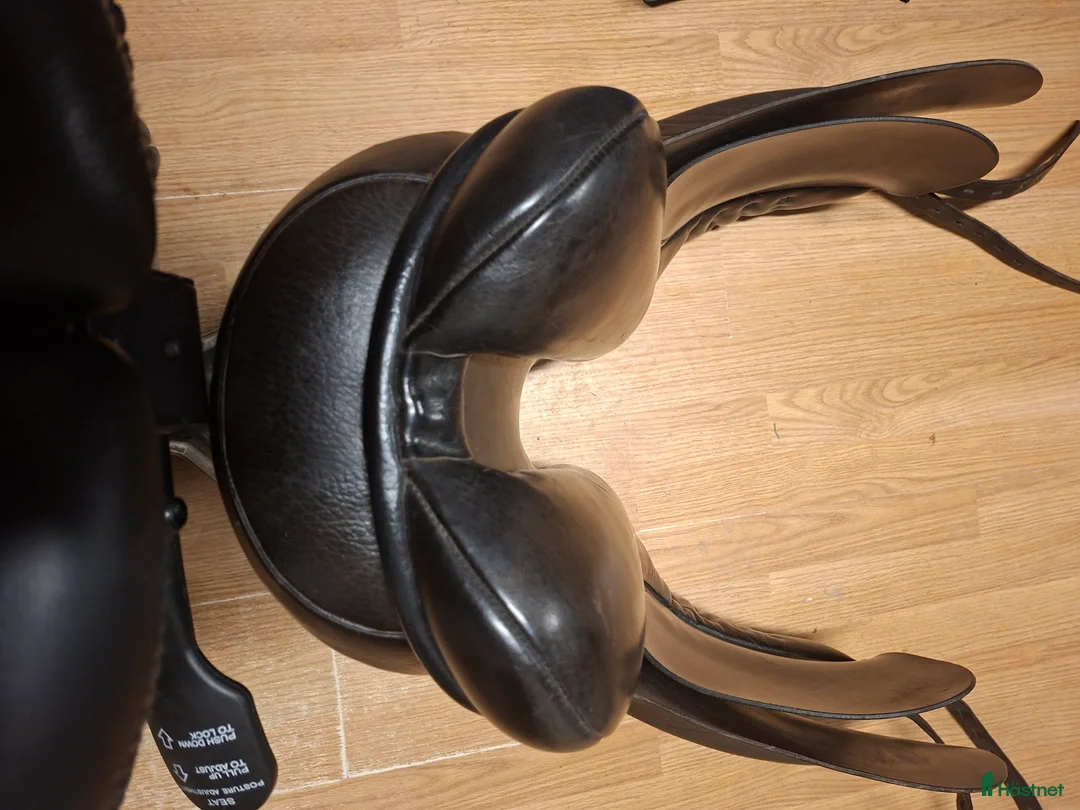 Sadlar hästutrustning till salu: Morris and Nolan  - Annons 6