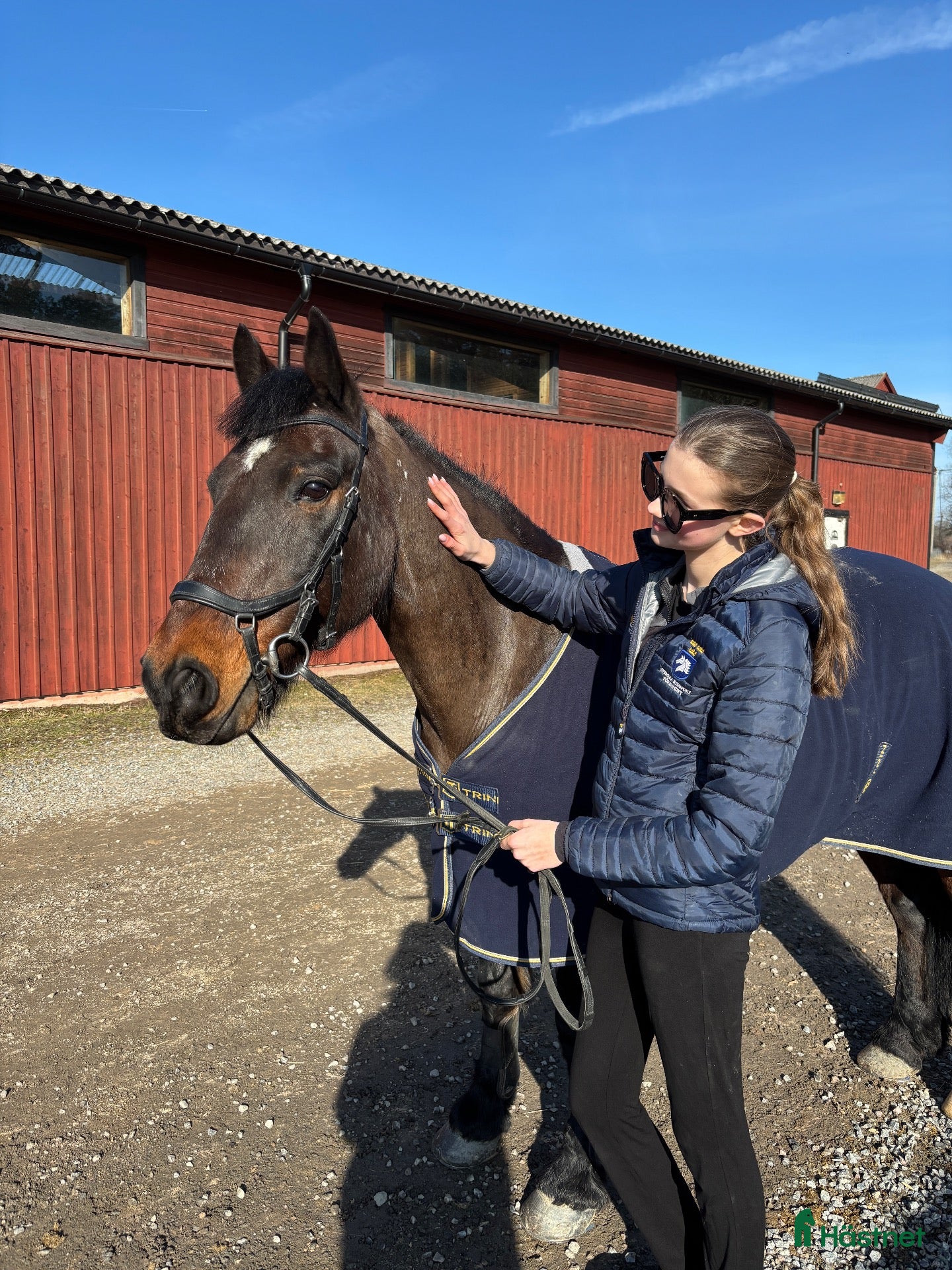  hästar till salu: D-ponny med driv - Annons 2