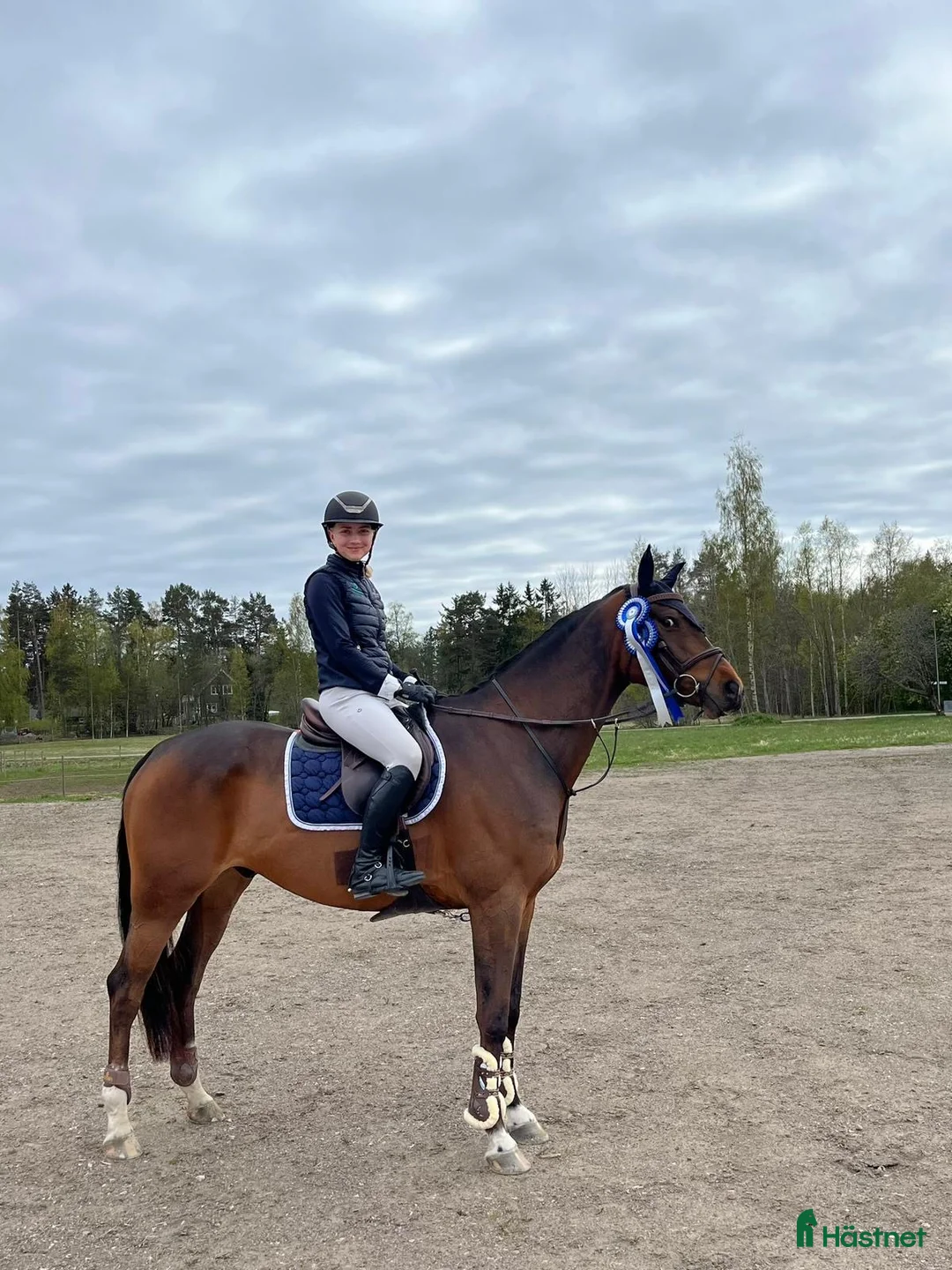 Hoppning hästar till salu: Talangfull 7 åring!  i Vänge - Annons 2