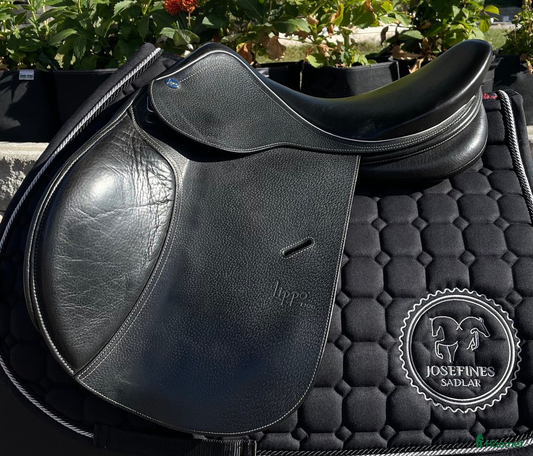 Sadlar hästutrustning till salu: Lippo Enzo i Hova - Annons 1