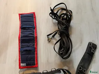 Övrig Hästutrustning hästutrustning Tömkörningsgjord, tömmar och padd - Annons 2