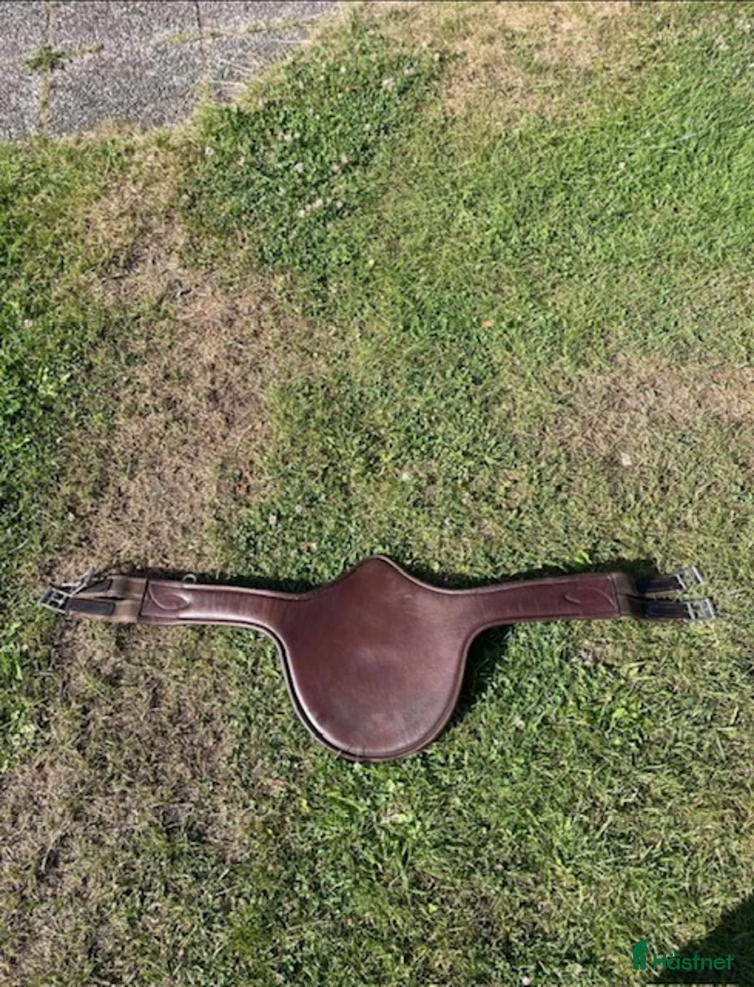 Sadeltillbehör hästutrustning till salu: Magplatta i Johannishus - Annons 4